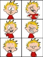 imaxe Calvin
